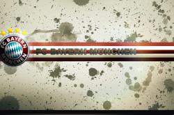 开云体育官网-当森林狼的嚎叫遇见库里的斗牛士舞步，跨越体育疆界的胜利法则