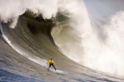 开云体育平台APP-文班亚马，骑士对阵雄鹿的棋盘上，他是指挥官也是主宰者